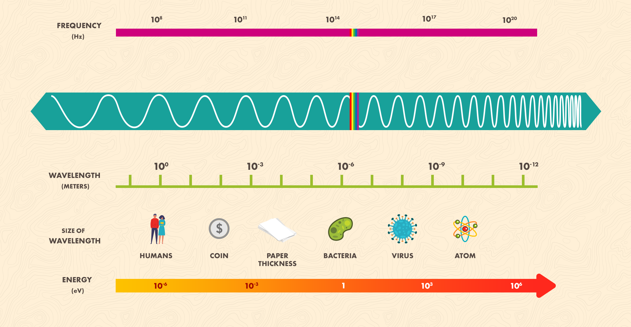 The Electromagnetic Spectrum